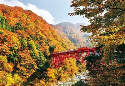 紅葉で彩られた黒部峡谷