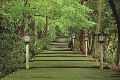 白山比咩神社の参道